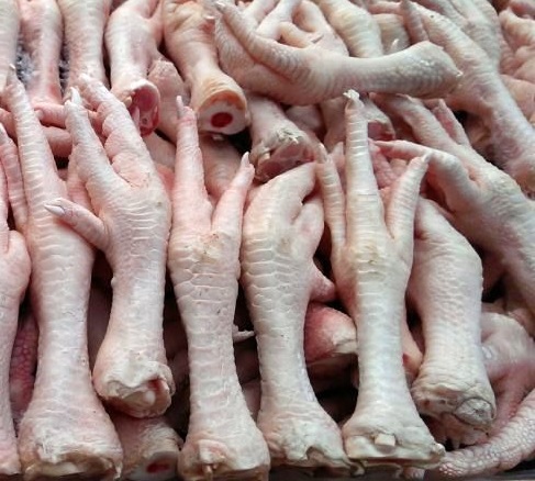 صادرات پا و پنجه مرغ آزاد شد