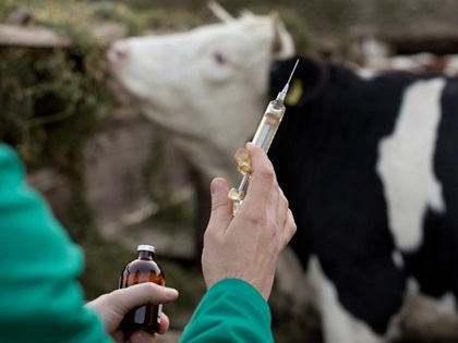 طرح چین برای حذف آنتی بیوتیک ها در خوراک دام تا ۲۰۲۰ 