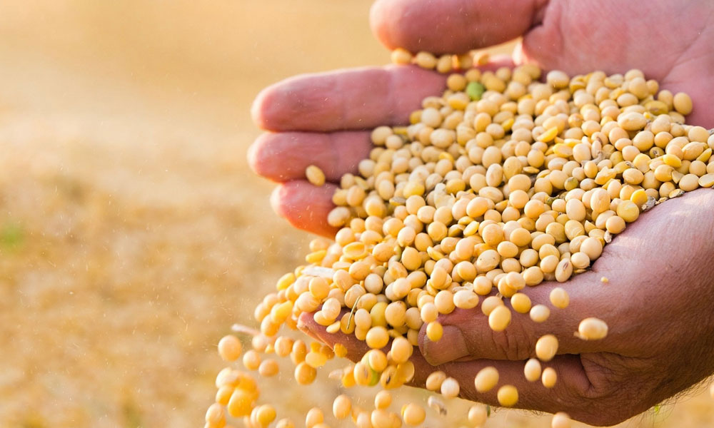 برنامه ای برای جبران خسارت افزایش تعرفه ها به کشاورزان نداریم