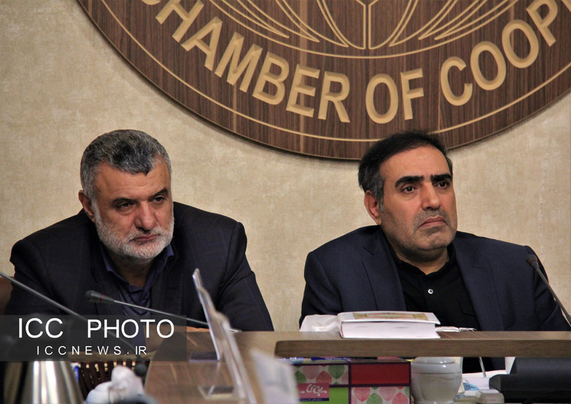 دولت وارداتچی نیست/ تعاونی ها با حمایت ما، انحصار واردات نهاده ها را بشکنند