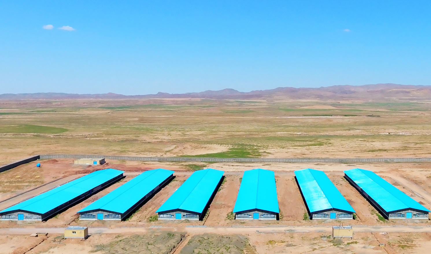 مجهزترین مزرعه پرورش مرغ مادر گوشتی در شرق کشور افتتاح می شود