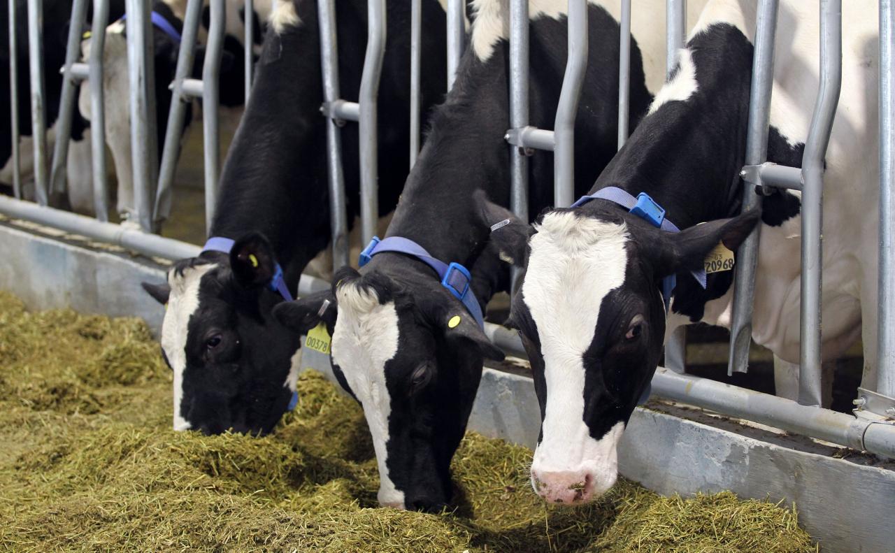 تولید نخستین توکسین بایندر چند جزیی وسیع الطیف با نام تجاری مگنوتوکس