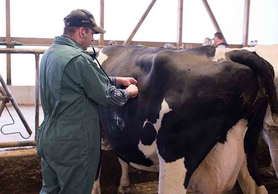 ٣١ سخنرانی کلیدی در چارچوب ۱۰ پانل تخصصی