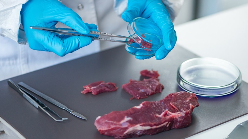 استفاده از سیستم خود نظارتی در بخش فرآوری گوشت در دستور کار