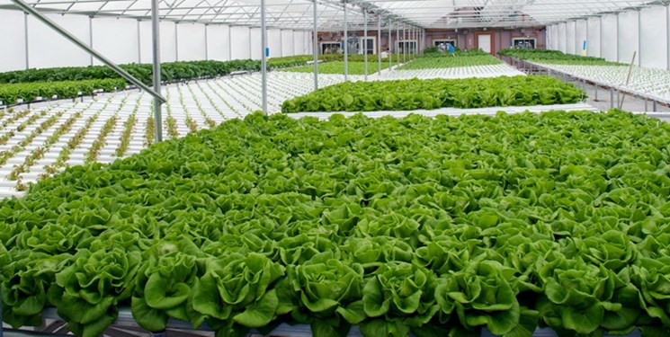 ایجاد و توسعه شهرک های اقتصاد محور در سواحل آب های شمالی و جنوبی کشور