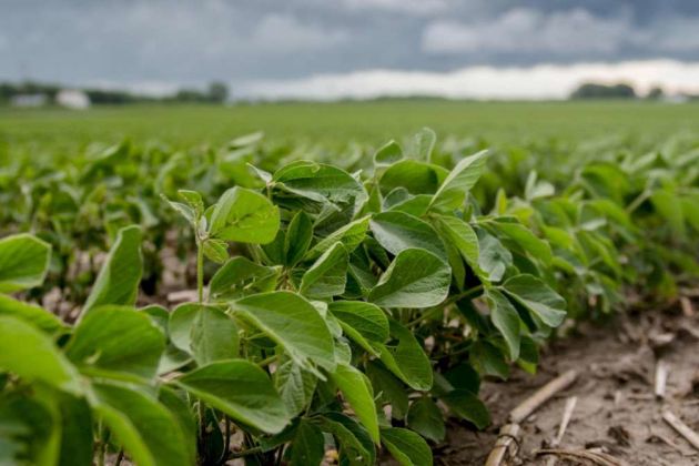 کاهش ۳ میلیارد دلاری صادرات محصولات کشاورزی در سال ۲۰۱۹