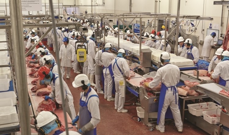 برگزیت بدون توافق، نیروی کار صنعت گوشت بریتانیا را تهدید می کند