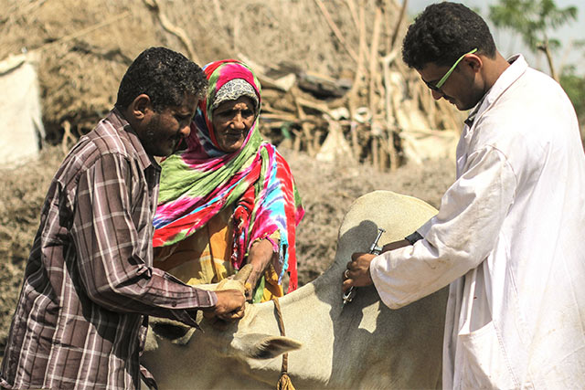 کمک ۸ میلیون دلاری ژاپن برای تامین امنیت غذایی در یمن