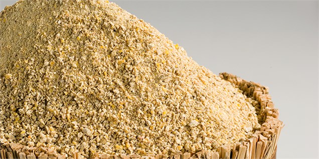 پساب الکل انرژی‌زایی بالایی برای خوراک دام دارد