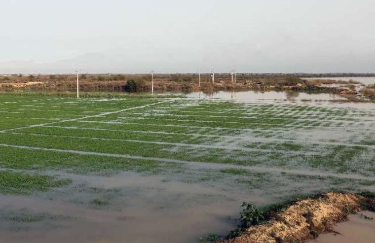 پرداخت خسارت کشاورزان سیل زده از ۱۵ فروردین ماه آغاز می شود