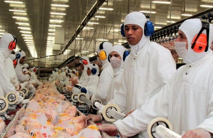 کاهش ۹٫۵ درصدی صادرات مرغ در ماه مارس/ چین همچنان در صدر متقاضیان گوشت مرغ برزیلی