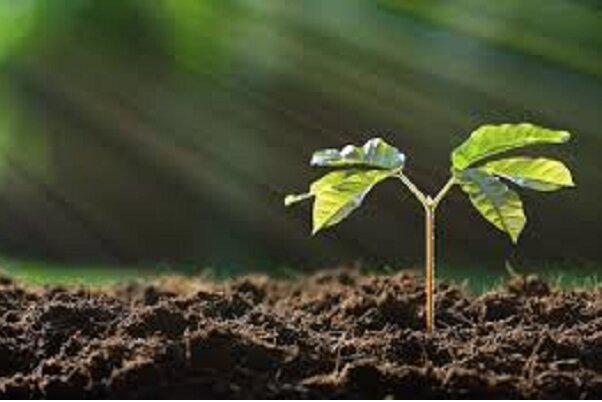 اختصاص ۲۷ هزار میلیارد ریال اعتبار برای سیل‌زدگان کشاورزی