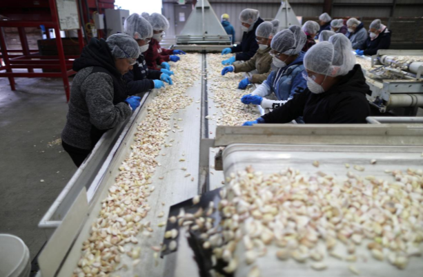 سیرکاران، برنده بزرگ جنگ تجاری در آمریکا