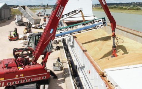 حذف عوارض صادراتی اقدام جدید روسیه برای افزایش صادرات گندم