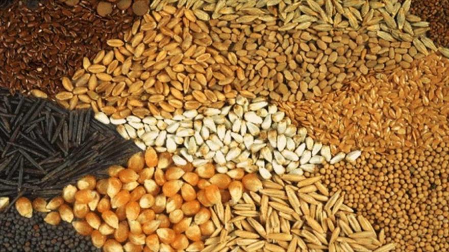 کمبودی در توزیع نهادههای دامی وجود ندارد