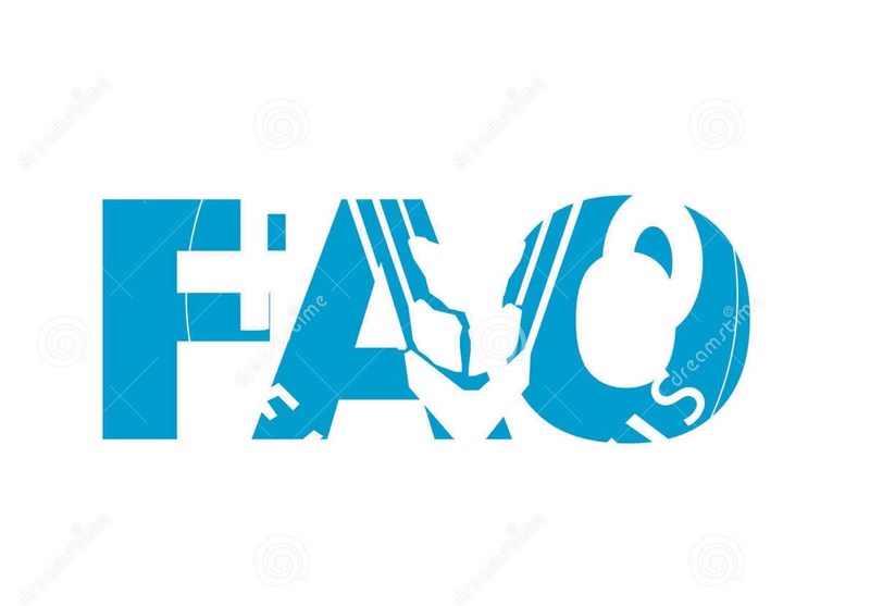 غذای غیرایمن سالانه ۹۵ میلیارد دلار از بهره وری کشورها میکاهد