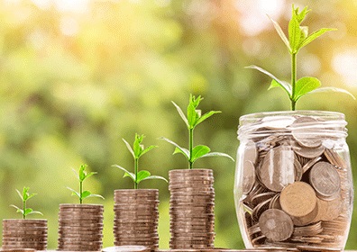 کشورها بدون توجه به قوانین WTO از بخش کشاورزی حمایت می‌کنند/اعتراض هند و امریکا به سیاست های حمایتی یکدیگر از بخش کشاورزی