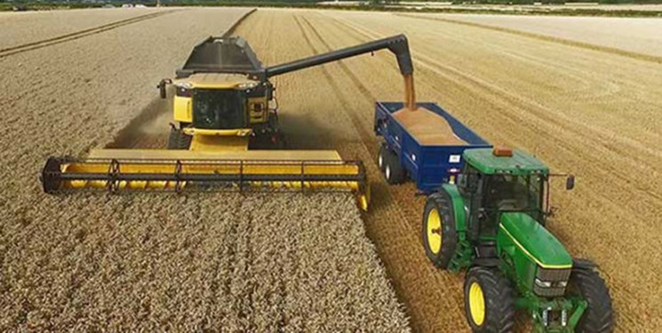 صادرات گندم پاکستان ممنوع شد