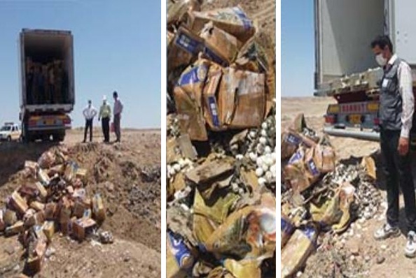 توقیف و معدومسازی محموله ۲۰ تنی تخممرغ فاسد در مسیر صادرات به کشور عراق در مشهد