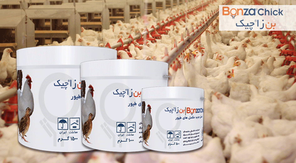 تولید نسل جدید مکمل های خوراکی بر اساس فناوری «کلات‌های پیشرفته»