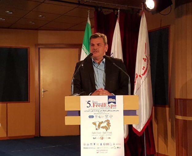 ایران جزء ۱۰ کشور برتر تولید کننده مرغ در جهان / ضرورت ایجاد زنجیره تولید برای حل مشکلات نهاده‌ها