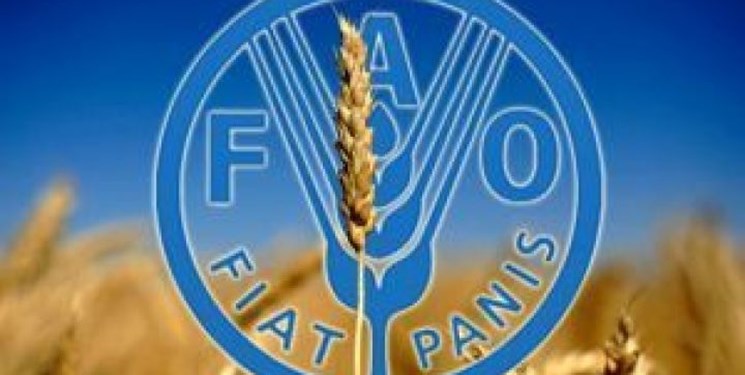 حمایت فائو از برنامه‌های سازگاری با تأثیرات تغییرات اقلیمی