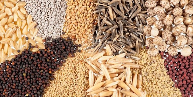 رونمایی از ۵۱ رقم بذر جدید اصلاح شده زراعی و باغی