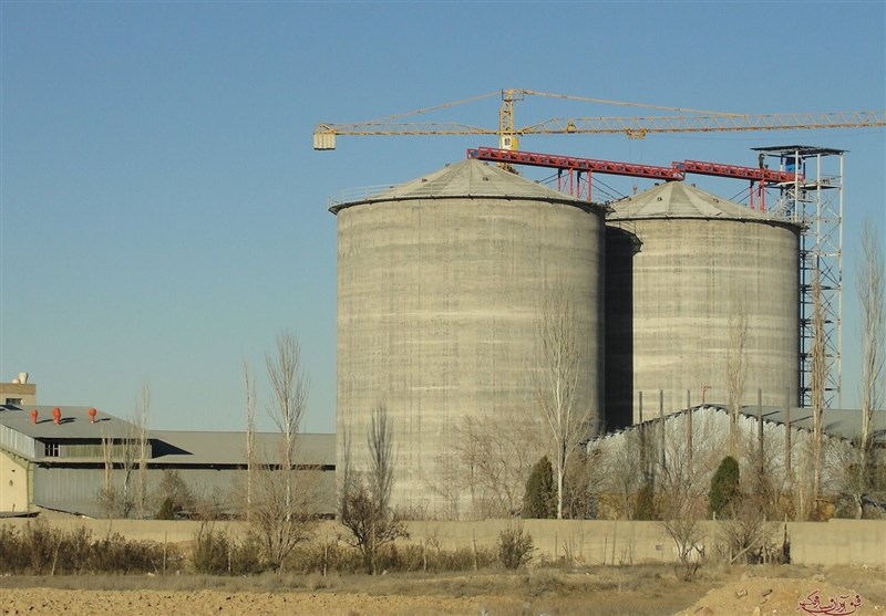 ورود ۱۴ کامیون گندم آلوده با تبانی ۴ کارمند شرکت غله