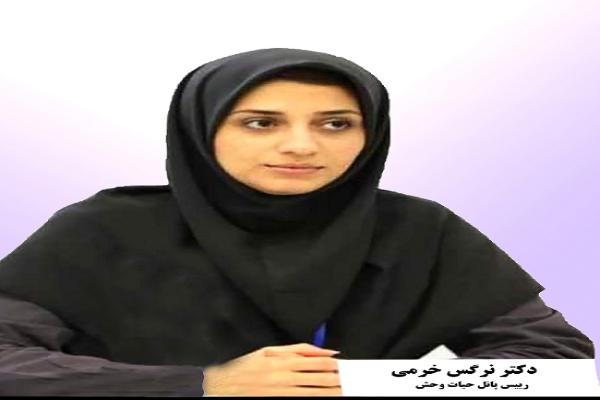 کشتار سگ های بدون صاحب