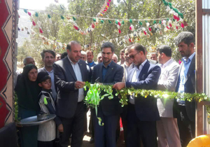 طرح ۳۰۰ رأسی پرورش گوسفند در آبچنار افتتاح شد.