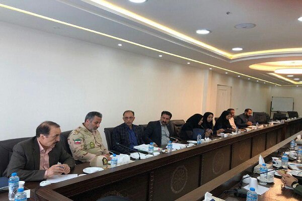 تبیین راههای رفع مشکلات واردات دام/ گرههای قانونی باز شود