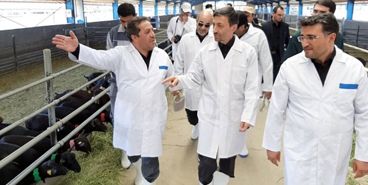 پرورش بز نژاد مورسیا با هدف اشتغال‌زایی و رونق تولید دام سبک را در استان‌های مختلف پیگیری و اجرا می‌کنیم