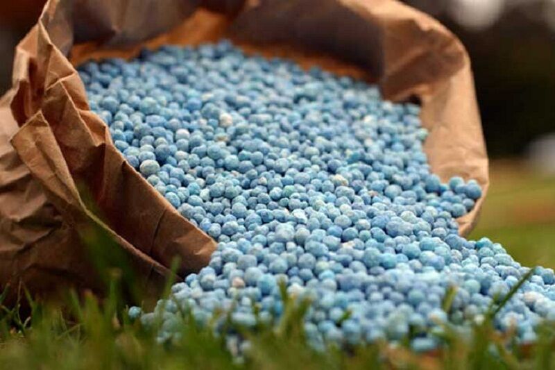 قیمت فروش کود اوره واحدهای تولیدی برای تحویل به شرکت‌های خدمات حمایتی کشاورزی توسط هیات وزیران تصویب و ابلاغ شد.