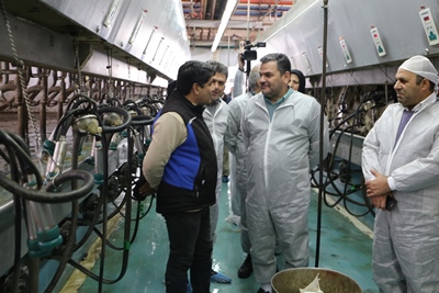 تولید ۱۱ میلیون تن شیرخام در کشور/صادرات تخم مرغ محدود است