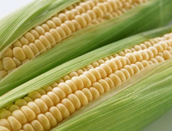 سازمان استاندارد ورود ذرت‌های آلوده به ایران را رد کرد