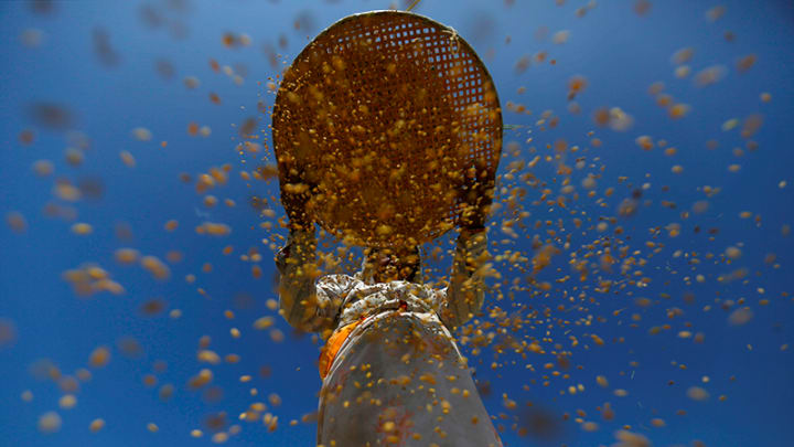 بهره بردن از سیاست های درست در تحول سیستم های غذایی وکشاورزی  برای رویارویی با تغییرات آب و هوایی