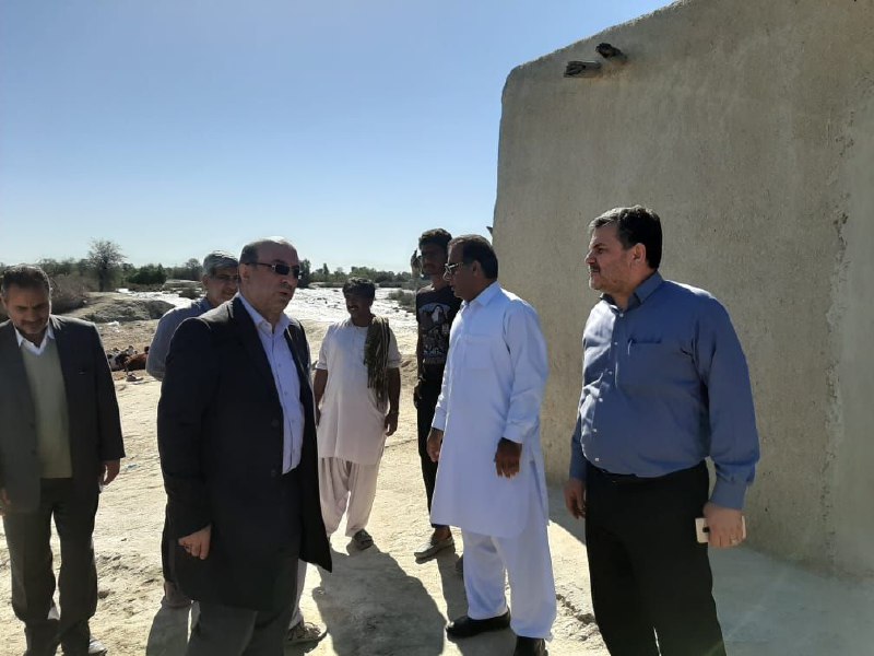 ارسال ۱۵۰۰ تن نهاده دامی به استان