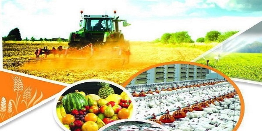رشد صادرات کشاورزی در بهار امسال؛ ۲۸ درصد