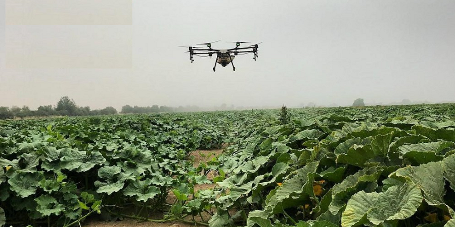 رایزنی تولیدکنندگان سموم اروپایی برای سرمایه گذاری در ایران