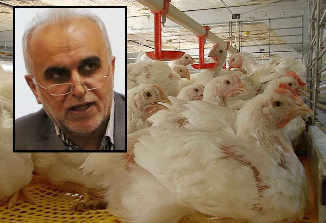 هرگونه ممنوعیت در صدور مجوز و پروانه فعالیت‌های دامپروری و تولید در بخش طیور لغو شد.