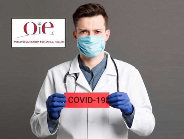 توضیحات سازمان جهانی بهداشت دام (OIE) درباره بیماری کووید-۱۹