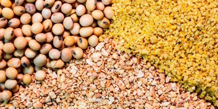 خایر استراتژیک نهاده‌های دامی تأمین است