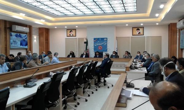 خرید حمایتی روزانه ۱ هزار تن مرغ مازاد مرغداران