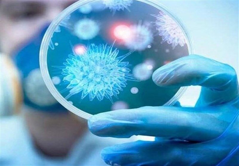 خسارت چهار هزار میلیارد تومانی کرونا در بخش کشاورزی