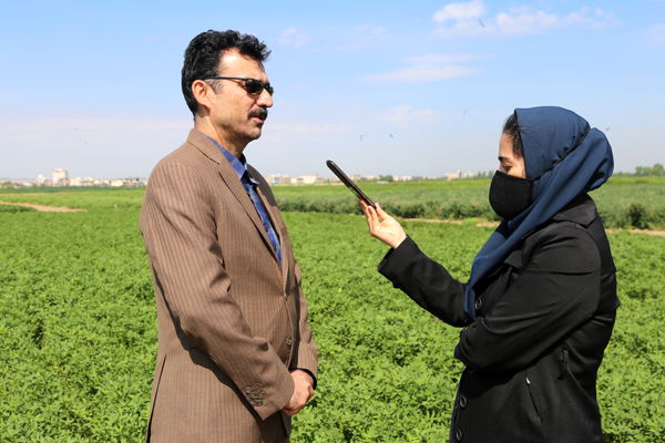 تولید علوفه در کشور سالانه ۵ درصد افزایش می‌یابد