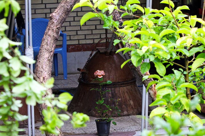 صنعت گلابگیری ایران زیر سایه کرونا