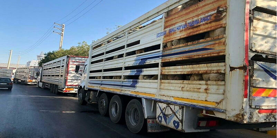 بازارهای مرزی به تدریج درحال بازگشایی هستند/ مجوز خروج روزانه ۱۰ کامیون مواد غذایی از مرز میرجاوه