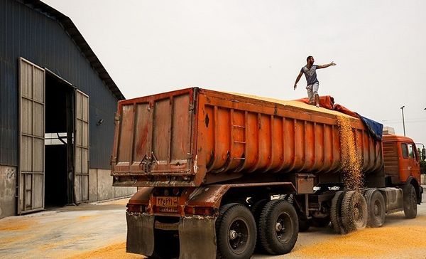افزایش ۵۰درصدی حمل کالاهای اساسی از بنادر/ایجاد انگیزه در کامیون‌داران با ابزارهای تشویقی