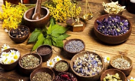 با مصوبه هیئت وزیران در حق سازمان مرکزی تعاون روستایی ایران اجحاف شده است