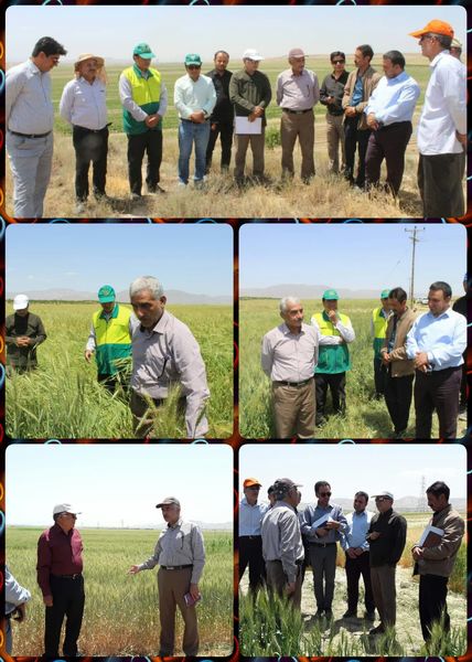 برای خرید کمباین باید به کشاورزان کمک کنیم